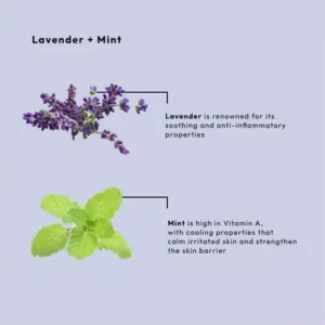BCL SPA STARTER KIT LAVENDER + MINT 4X16OZ - Afbeelding 7