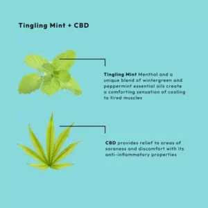 BCL SPA MASSAGE CREAM TINGLING MINT + CBD 1892ML - Afbeelding 4