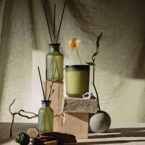 Classic Bergamote 75ml - Afbeelding 3